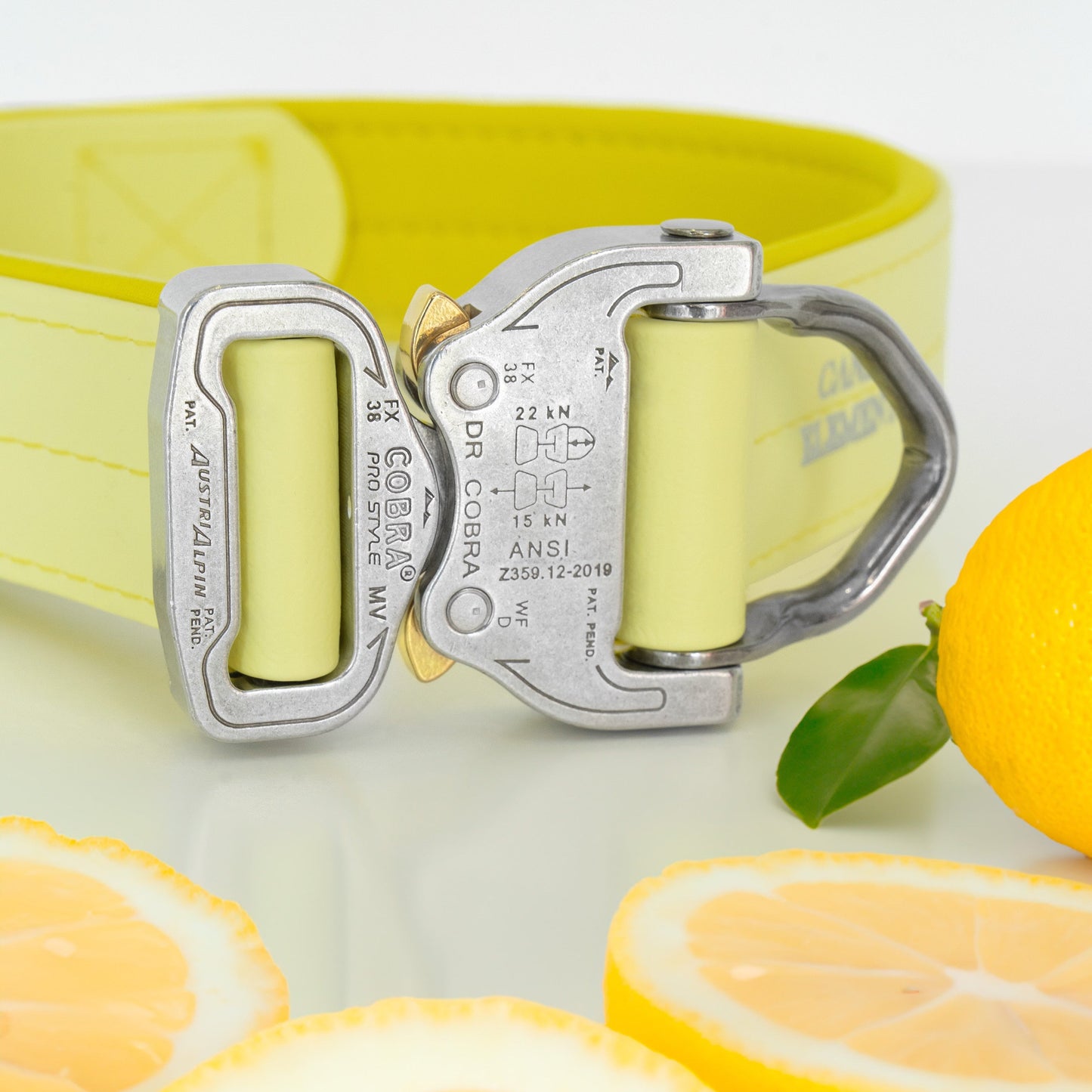 SAFETY Pro Halsband - SORRENTO