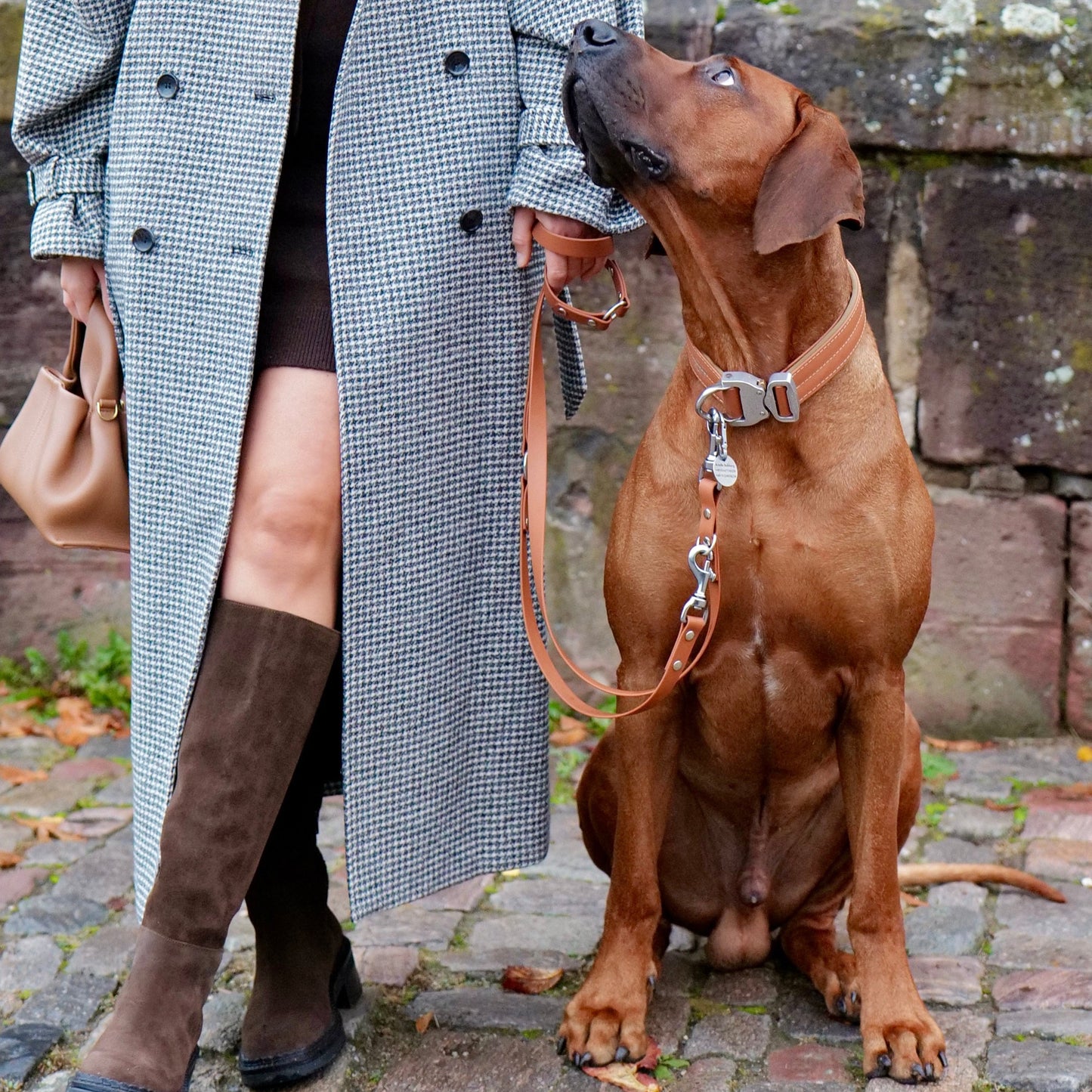 Pro Hundeleine - Warm Chestnut limited Edition