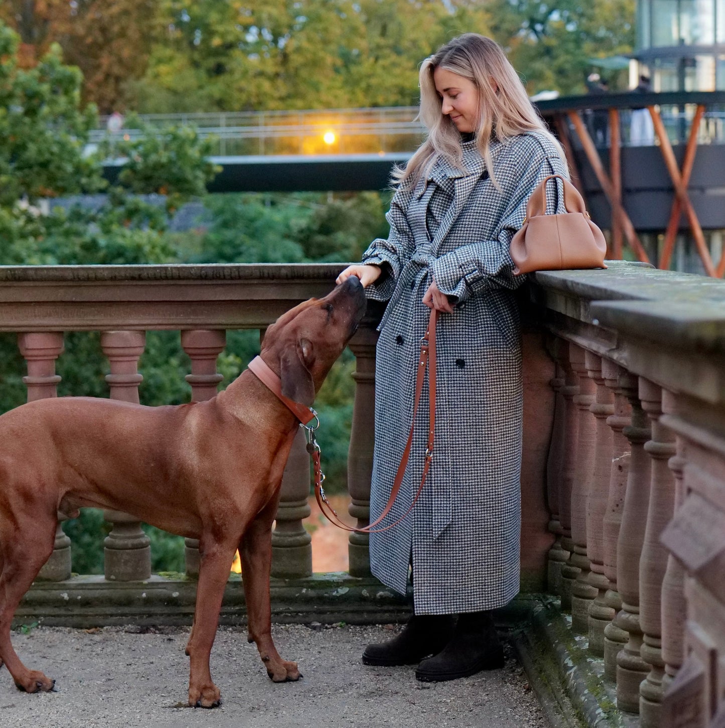 Pro Hundeleine - Warm Chestnut limited Edition