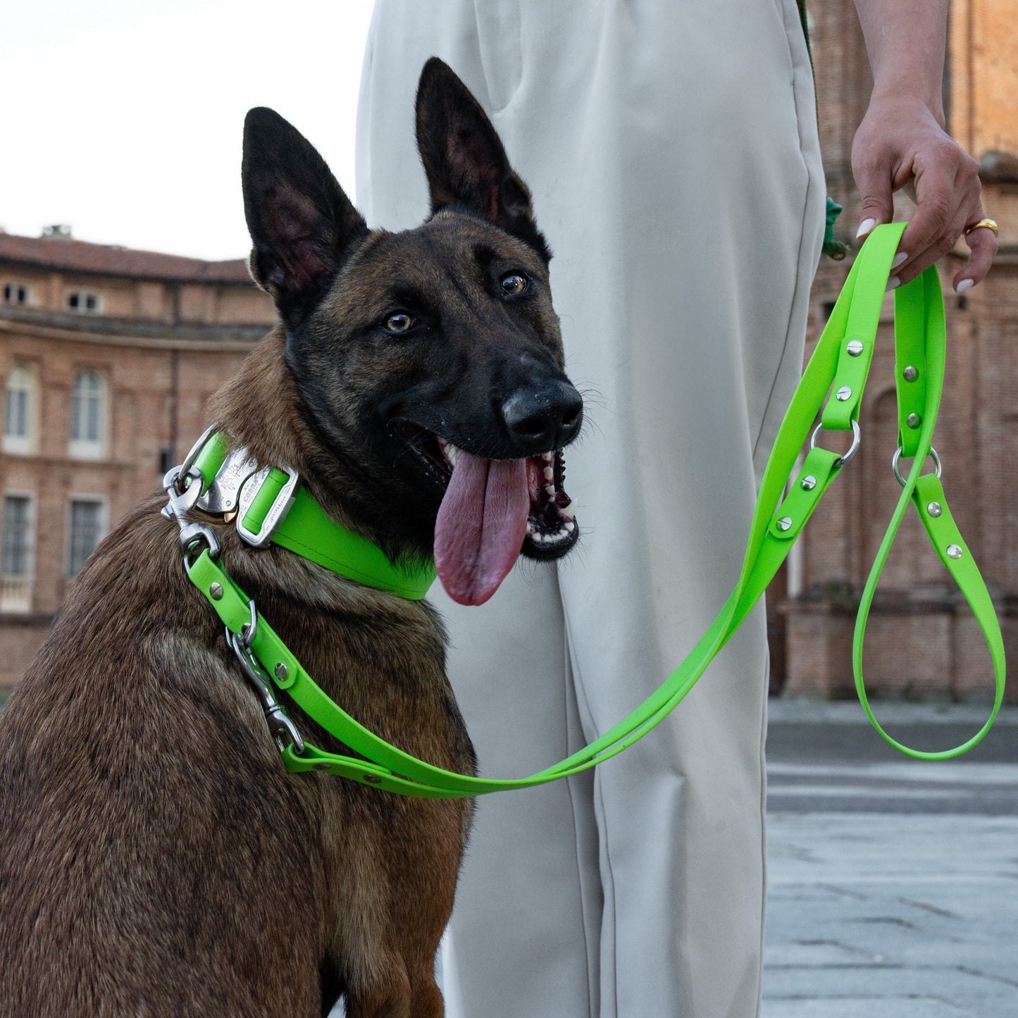 SAFETY Eco Halsband - TROPEA