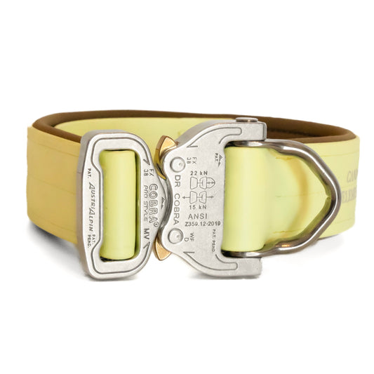 SAFETY Pro dog collar - SORRENTO