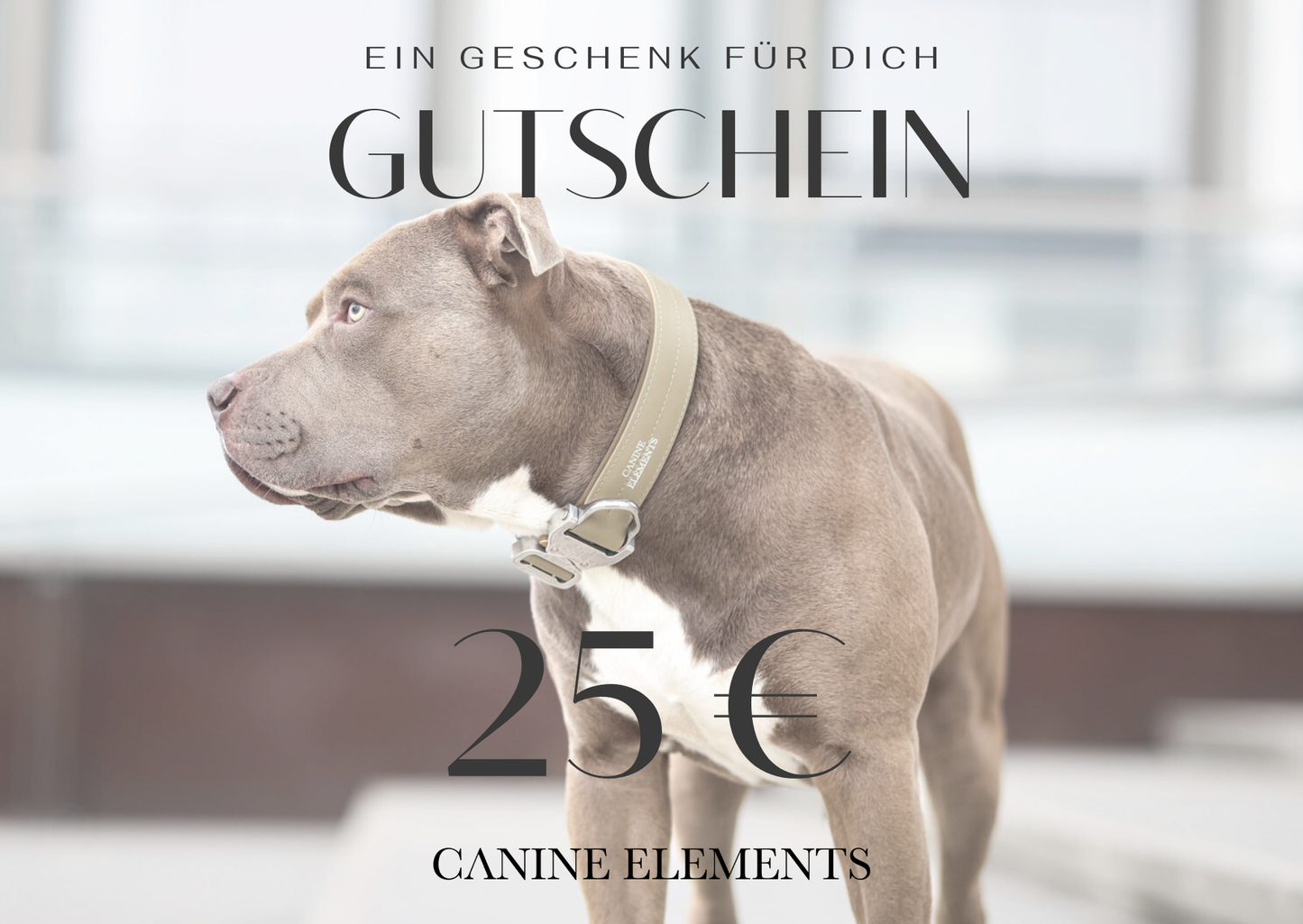 Geschenkgutschein Digital