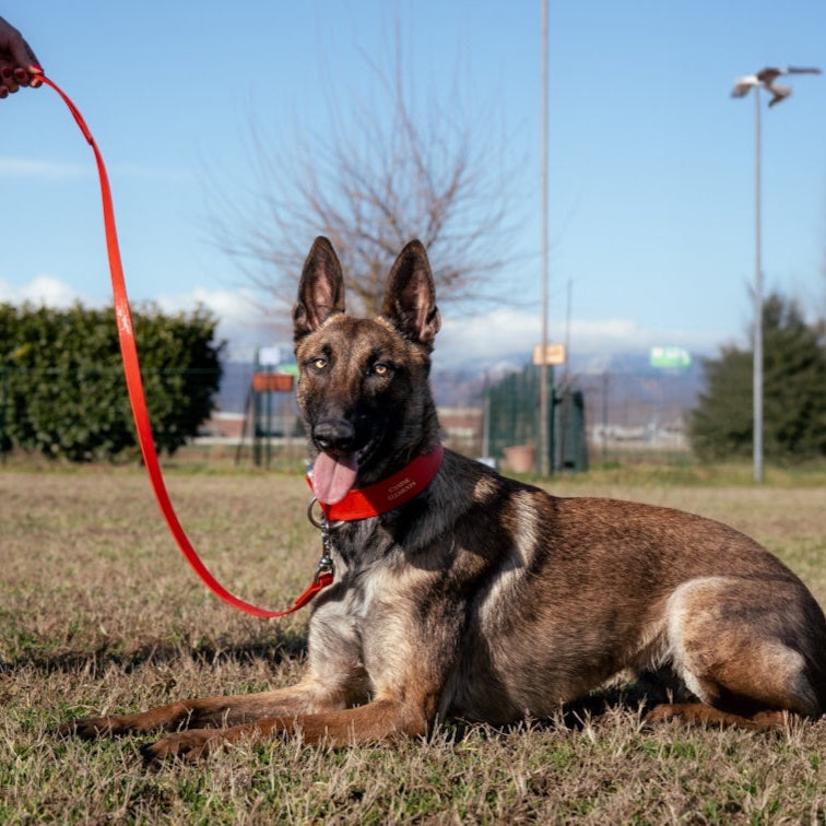 Pro dog leash - MONZA