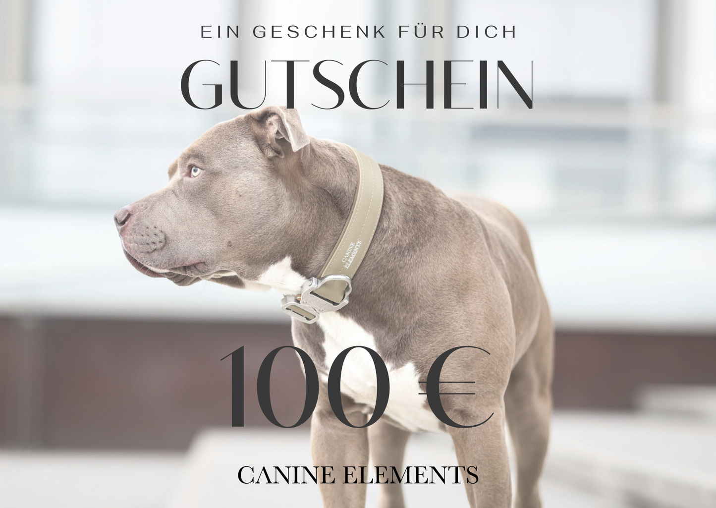 Geschenkgutschein Digital