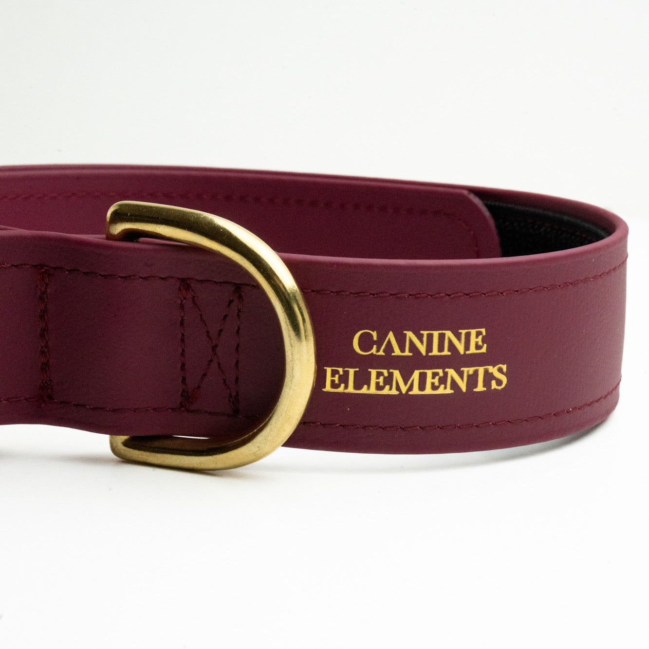 SAFETY Eco Dog Collar - SIENA
