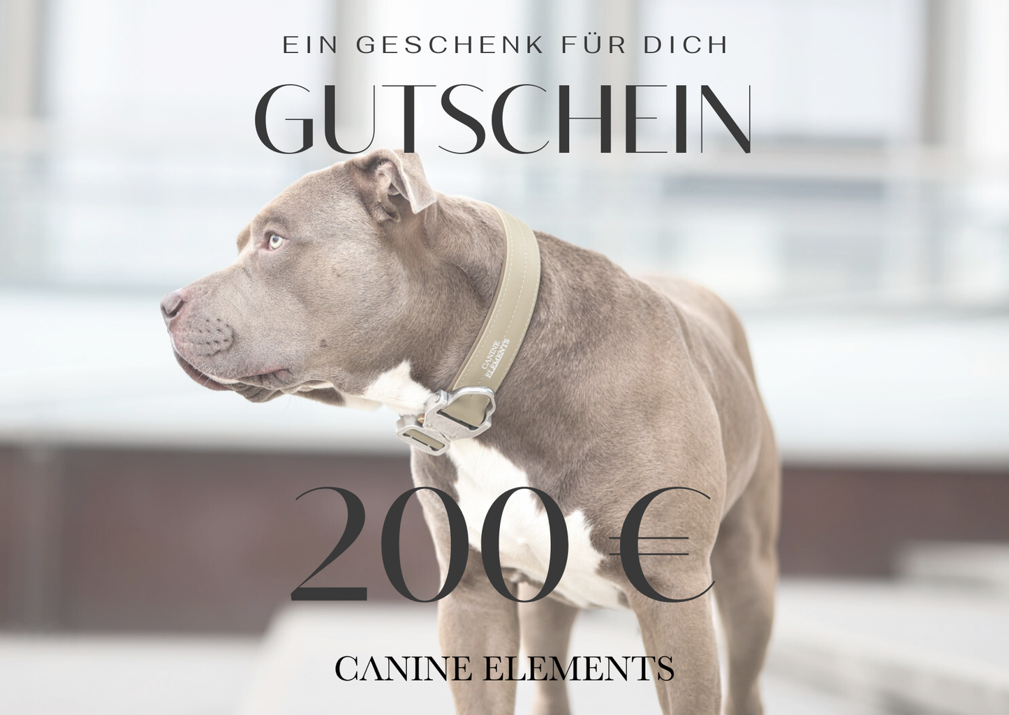 Geschenkgutschein Digital