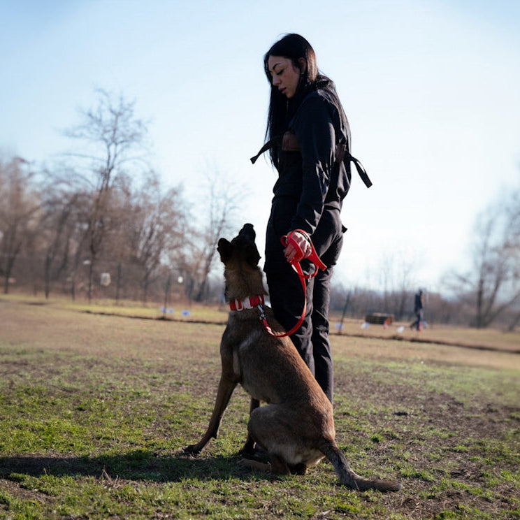 Pro dog leash - MONZA