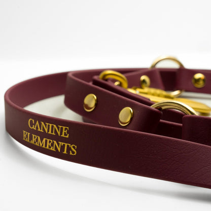 PRO dog leash - MONZA