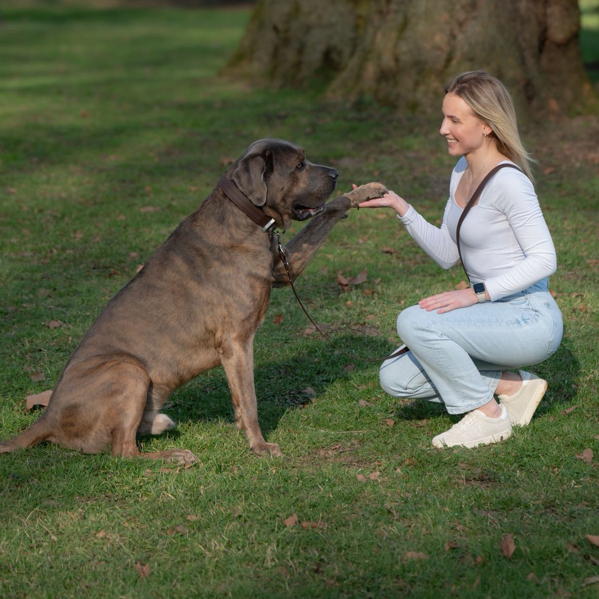 Pro Hundeleine - ESPRESSO