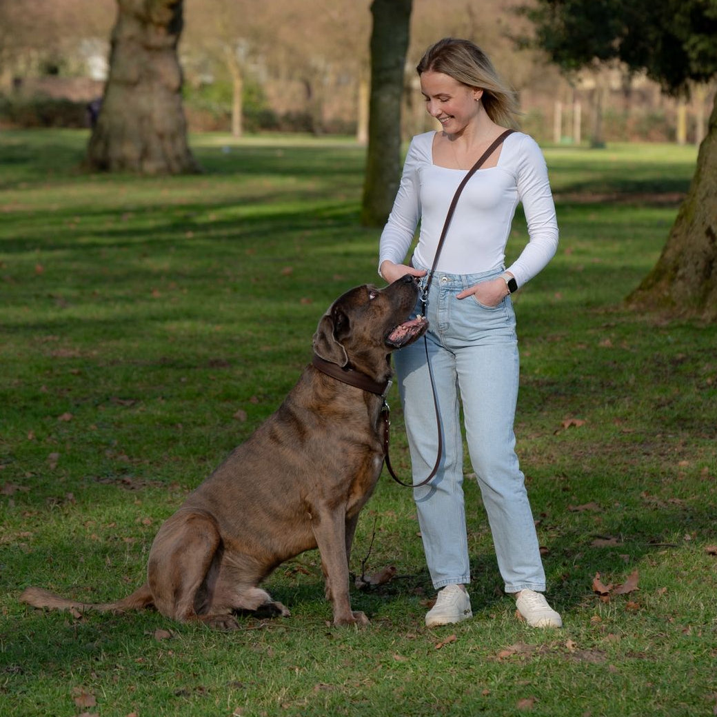 Pro Hundeleine - ESPRESSO