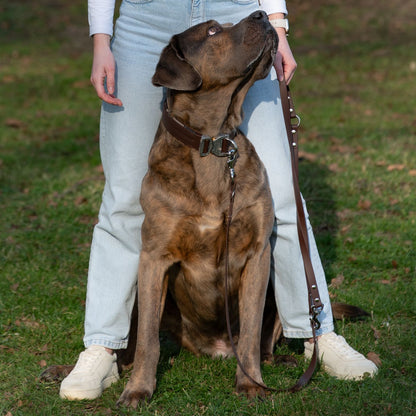 Pro Hundeleine - ESPRESSO