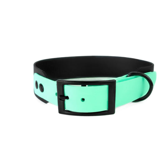 MITICO dog collar 38 mm - ROMA 