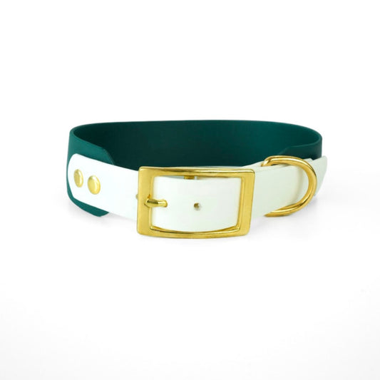 MITICO dog collar 38 mm - LUCCA 