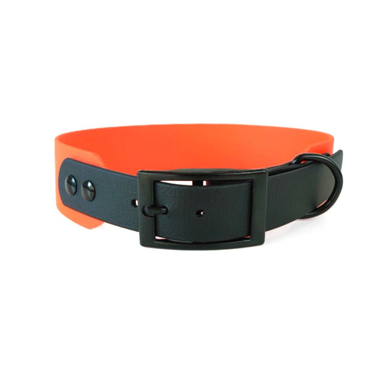 MITICO dog collar 38 mm - VOLTERRA 