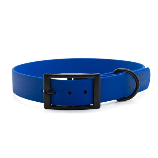 CLASSICO Hundehalsband 25 mm breit - CAPRI