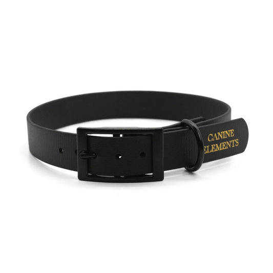 CLASSICO dog collar 25 mm wide - ROMA 