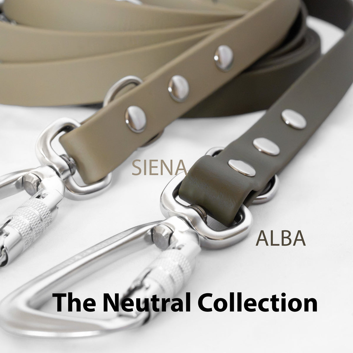 SAFETY Hundeleine - ALBA (Limited Autumn Edition)