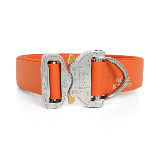 SAFETY Pro dog collar - TORINO x die.ridgeback.dame (limited edition) 