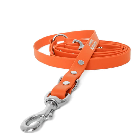 Pro dog leash - PIENZA (limited edition)