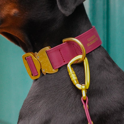 SAFETY Eco Dog Collar - SIENA
