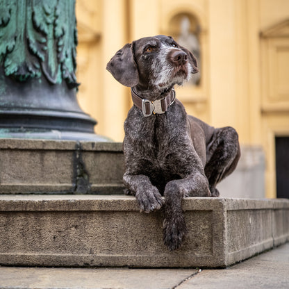SAFETY Eco Halsband - ESPRESSO