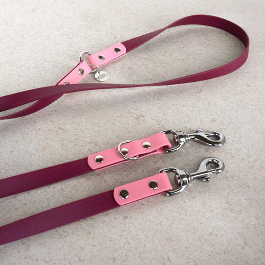 Hundeleine Pro Dual Colour - DEVOTA (limited Edition)