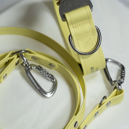 SAFETY Eco Halsband - SORRENTO (limited Summer Edition)