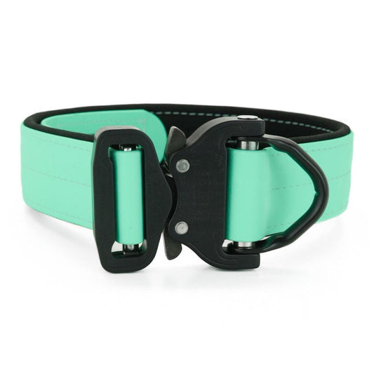 SAFETY Pro dog collar - ELBA 