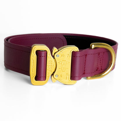 SAFETY Eco Dog Collar - SIENA