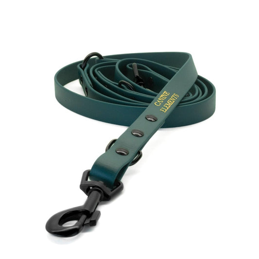 Pro dog leash - LUCCA