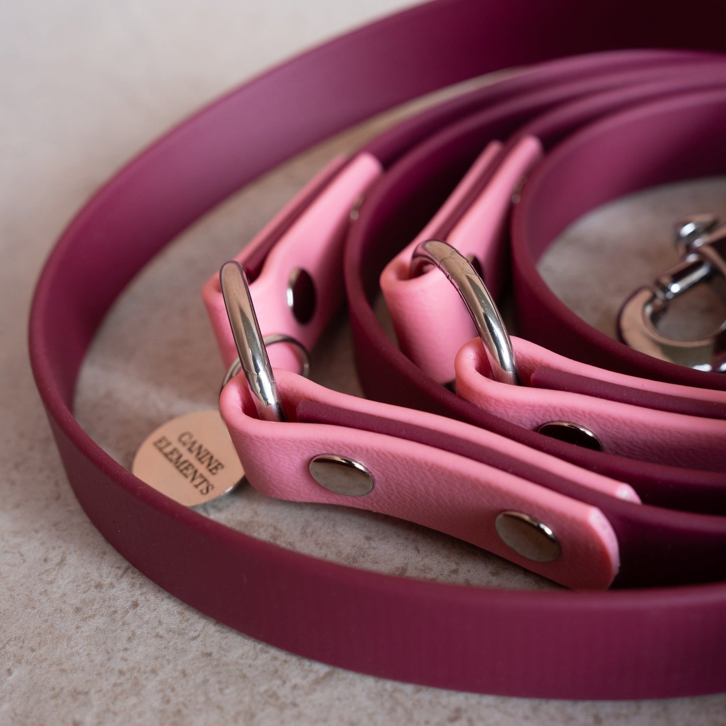 Hundeleine Pro Dual Colour - DEVOTA (limited Edition)