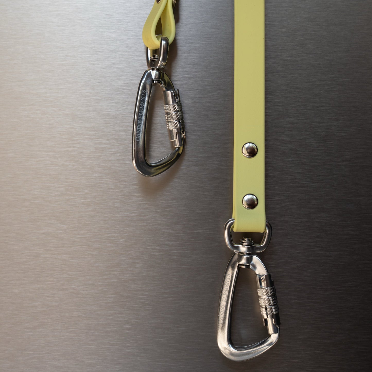 PRO dog leash - MONZA