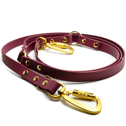 PRO dog leash - MONZA