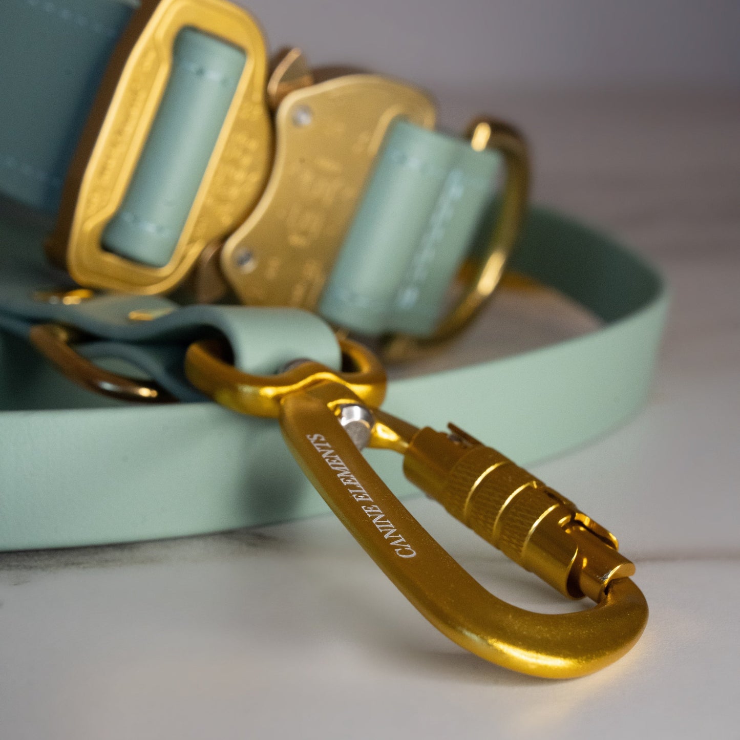 SAFETY Hundeleine - SALVIA (limited Edition)