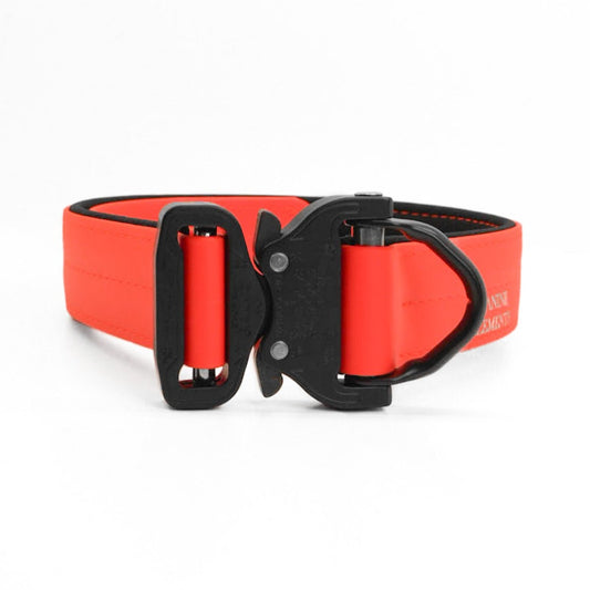 SAFETY Pro Hundehalsband - VOLTERRA