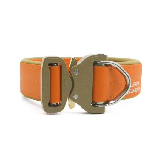 SAFETY Pro Dog Collar - PIENZA (limited edition) 