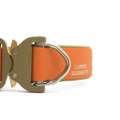 SAFETY Pro Hundehalsband - PIENZA (limited Edition)