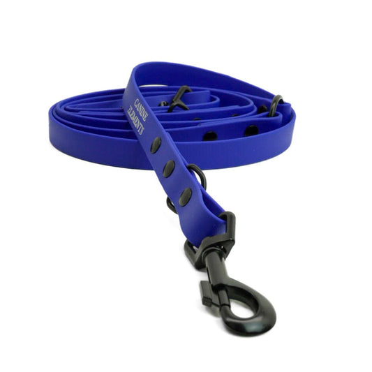 Pro dog leash - CAPRI