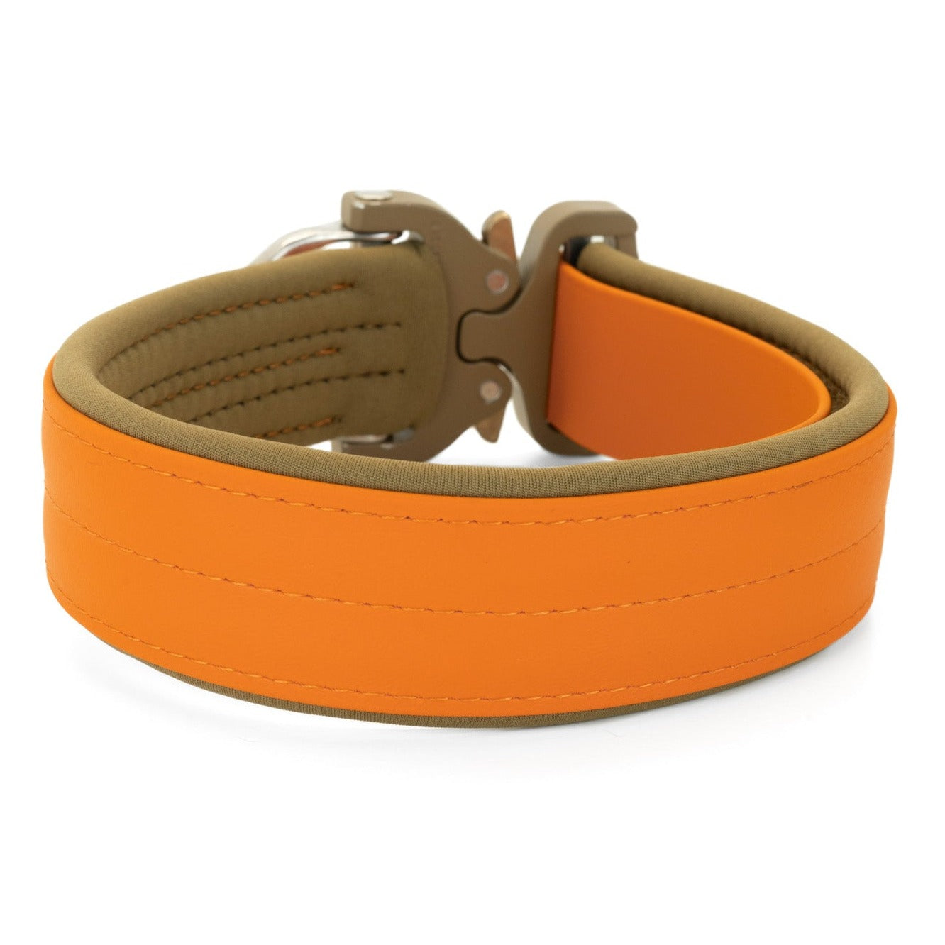 SAFETY Pro Hundehalsband - PIENZA (limited Edition)