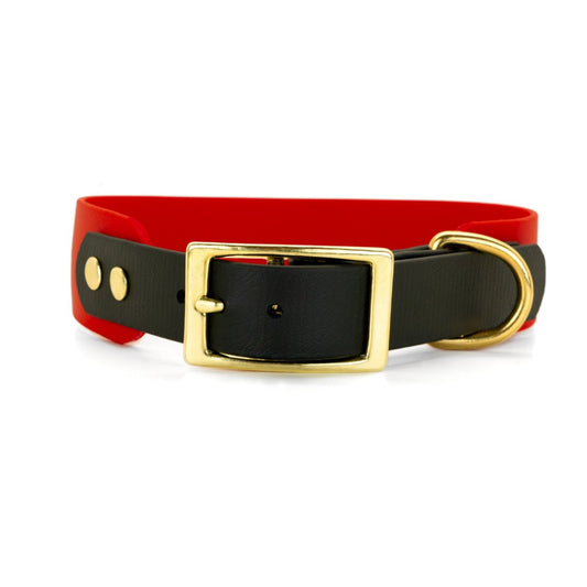 MITICO dog collar 38 mm - MONZA 