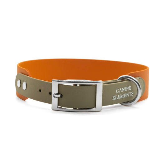 MITICO Hundehalsband 38 mm - PIENZA