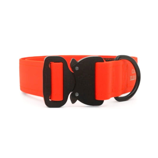 SAFETY Eco Hundehalsband - VOLTERRA