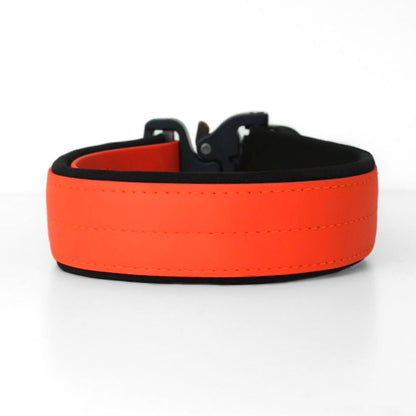 SAFETY Pro Hundehalsband - VOLTERRA