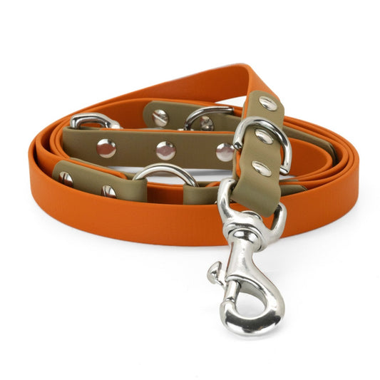 Pro dog leash - PIENZA (limited edition)