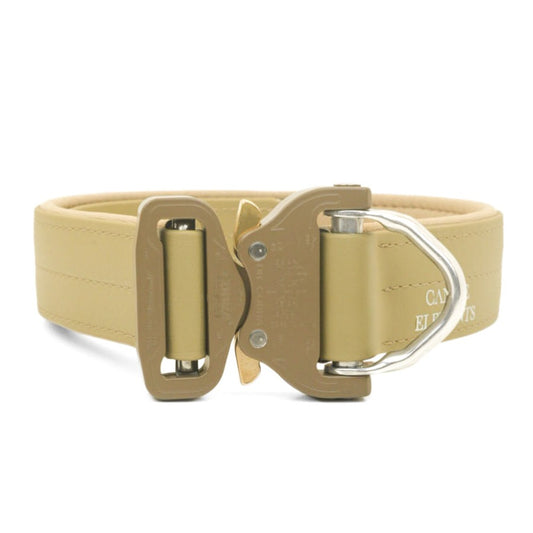 SAFETY Pro dog collar - SIENA 