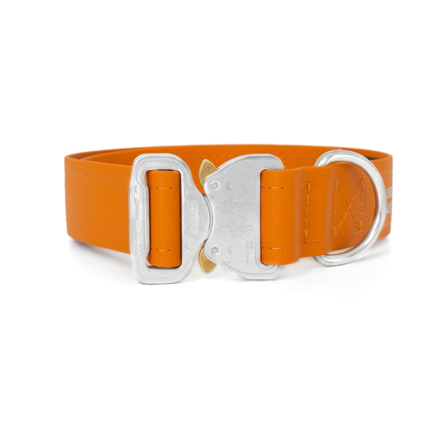 SAFETY Eco Hundehalsband - TORINO x die.ridgeback.dame (limited edition)