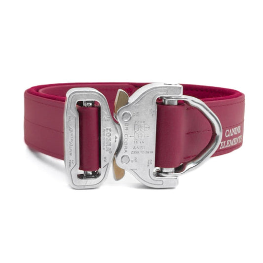 SAFETY Pro dog collar - ALGHERO