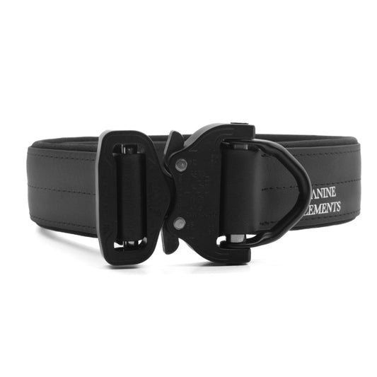 SAFETY Pro dog collar - ROMA 