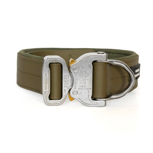 SAFETY Pro Halsband - ALBA (Limited Autumn Edition)