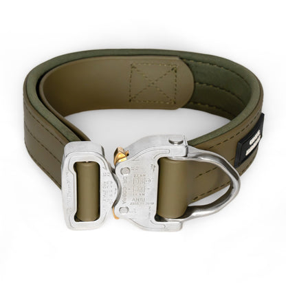 SAFETY Pro Halsband - ALBA (Limited Autumn Edition)